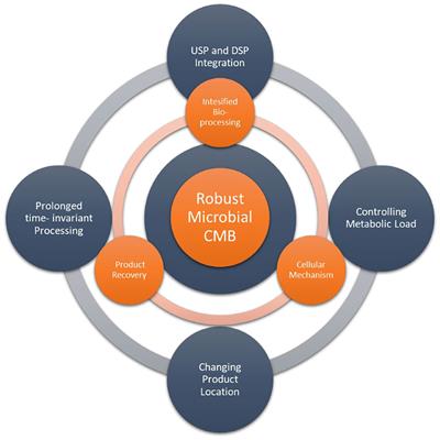 Editorial: Continuous Biomanufacturing in Microbial Systems